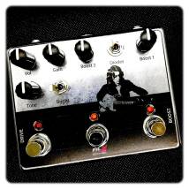 Flynn Amps Rory Gallagher Hawk