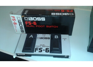 Boss FS-6 Dual Footswitch (97274)