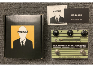 Mr Black Solid state Echo Chamber SS-850