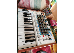 Akai Professional Timbre Wolf (22411)