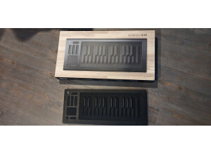 ROLI Seaboard Rise 25 (70978)