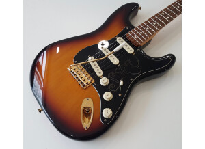 Fender Stevie Ray Vaughan Stratocaster (82993)