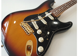 Fender Stevie Ray Vaughan Stratocaster (73717)