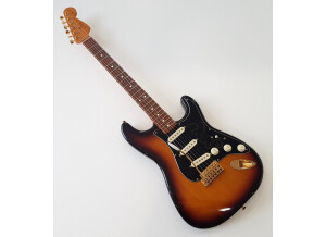 Fender Stevie Ray Vaughan Stratocaster (70410)