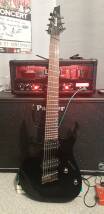 Ibanez RGMS7