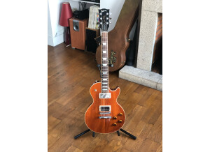 Gibson Les Paul Standard Mahogany Top (43141)