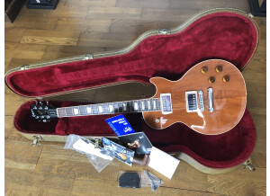 Gibson Les Paul Standard Mahogany Top (37982)