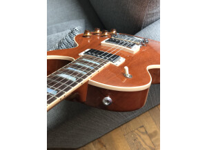 Gibson Les Paul Standard Mahogany Top (16435)