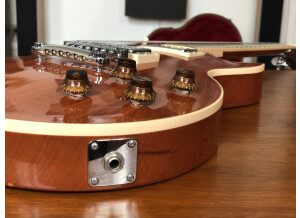 Gibson Les Paul Standard Mahogany Top (62547)