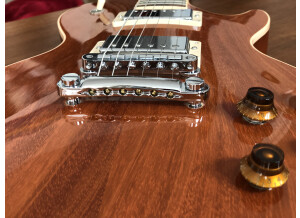 Gibson Les Paul Standard Mahogany Top (65341)