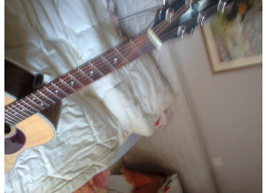 Cort Earth300SS (58229)