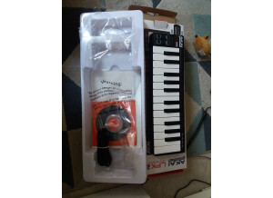 Akai Professional LPK25 (81898)