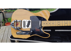 Telecaster US body front 3