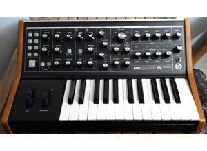 Moog Music Subsequent 25 (54578)