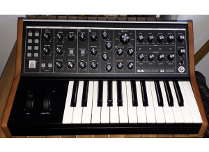 Moog Music Subsequent 25 (47104)