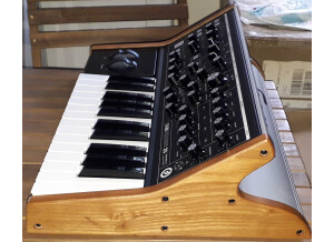 Moog Music Subsequent 25 (47800)