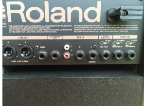 Roland AC-60 (24932)