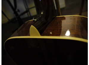 Tanglewood TW40 D AN E (85946)