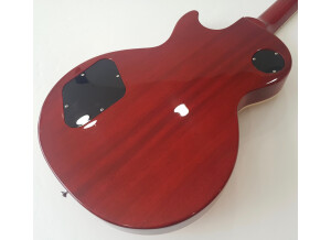 Gibson Slash Les Paul Standard 2020 (60079)