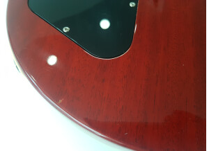 Gibson Slash Les Paul Standard 2020 (30103)