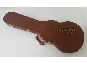 Gibson Slash Les Paul Standard 2020 (77813)