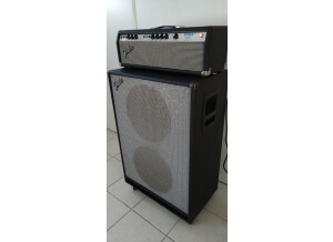Fender Bassman 100 (Silverface) (85079)