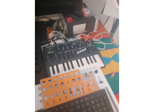 Arturia MicroBrute (36714)