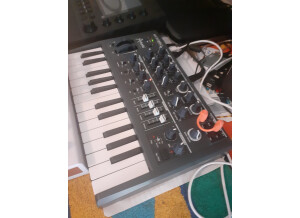 Arturia MicroBrute (6318)