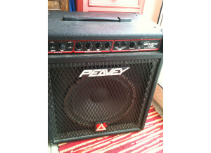 Peavey Basic 112 (99646)