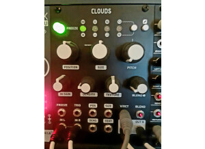 Mutable Instruments Clouds (18019)