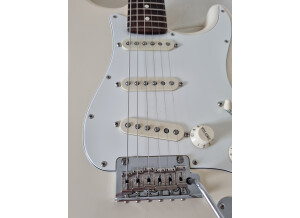 Fender American Professional Stratocaster (53361)