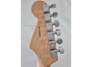 Fender American Professional Stratocaster (48607)