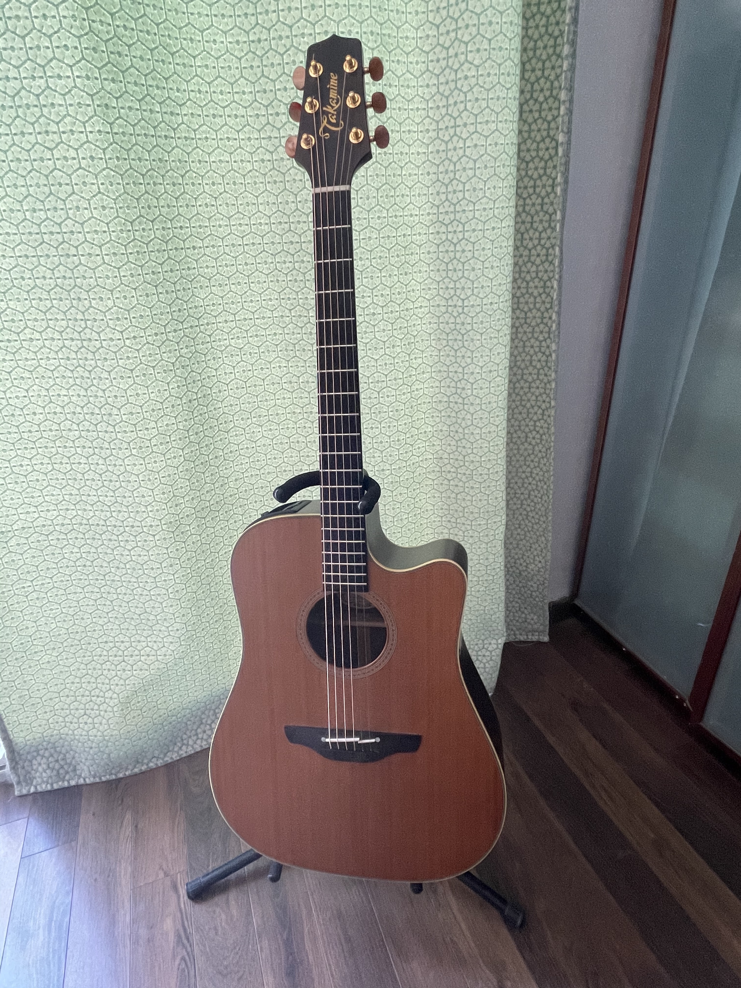 Takamine NP15C