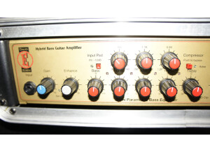 Eden Electronics WT-800 (World Tour)