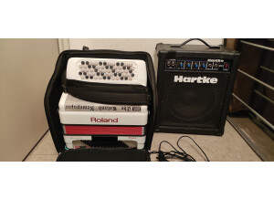 Roland FR-1B (29508)