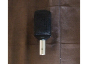 AKG D12E