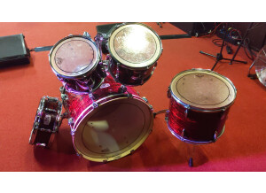 Pearl Export Radical EXR (83467)