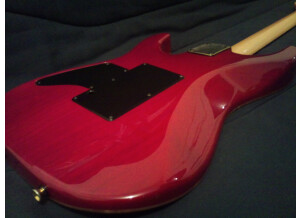 Tom Anderson Drop Top (50299)