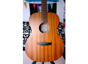 Tanglewood TW130SM 2