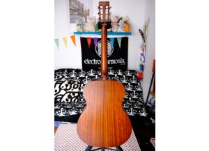 Tanglewood TW130SM 5