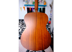 Tanglewood TW130SM 6