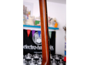 Tanglewood TW130SM 9