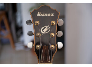 Ibanez AS103 (35536)