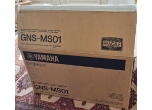Yamaha GNS-MS01 (20636)