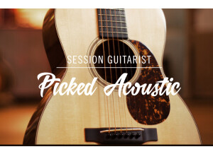 Native Instruments Session Guitarist - Picked Acoustic (72324)