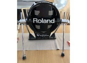 Roland KD-120 (29694)