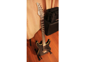 Schecter Sunset Custom FR - Satin Black (78292)