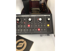 Moog Music SlimPhatty (74945)