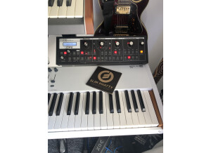 Moog Music SlimPhatty (58085)