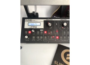 Moog Music SlimPhatty (38750)
